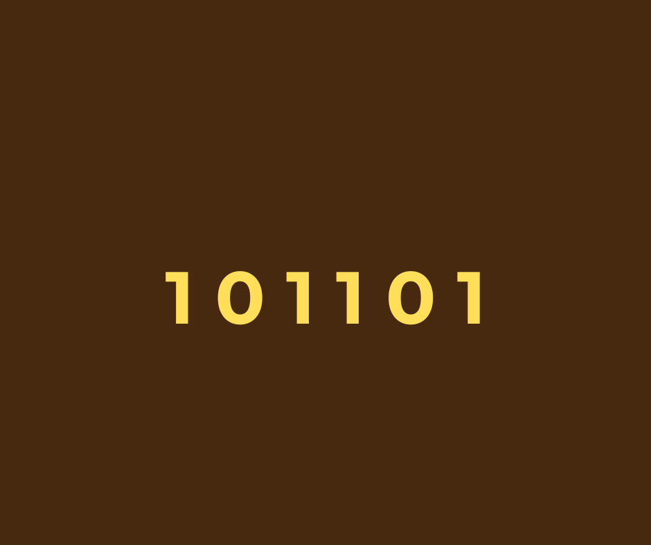 The number 101101